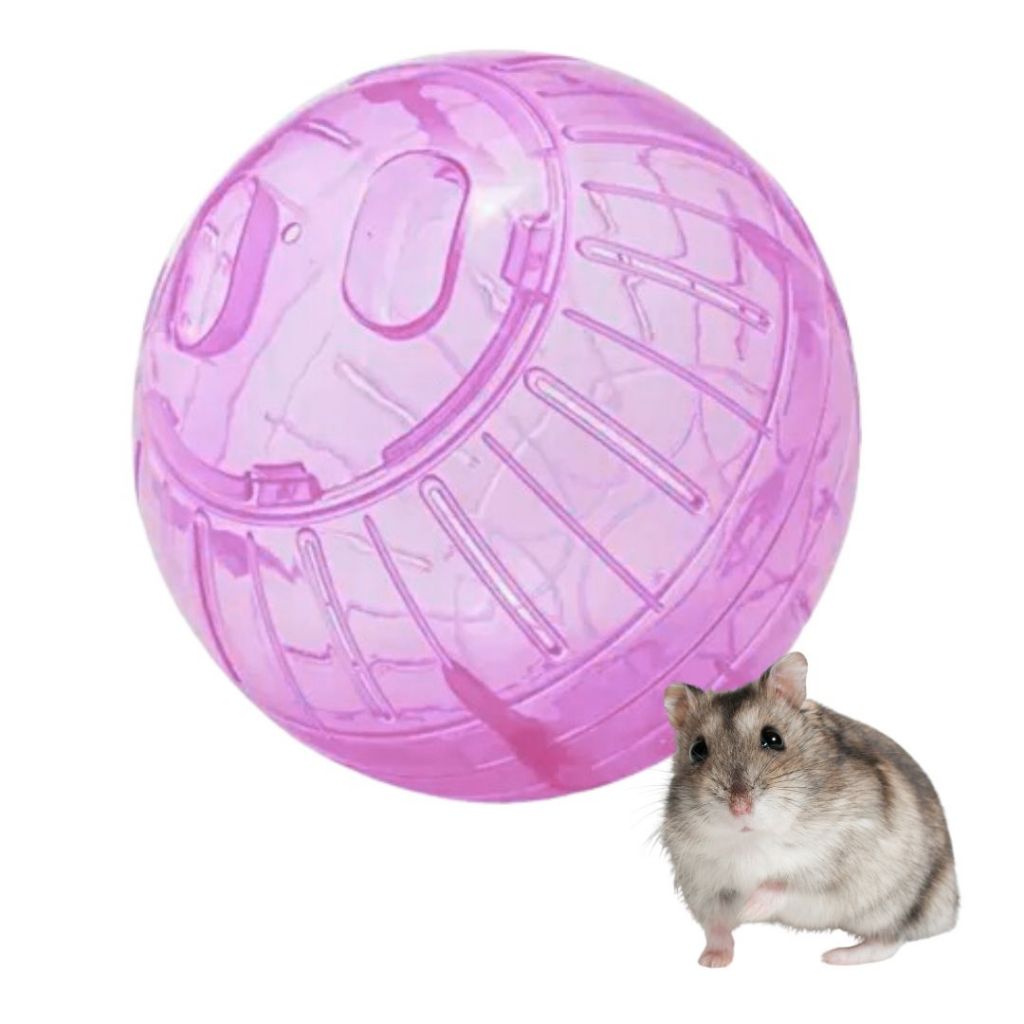 Pelota de Ejercicio Translúcida para Hámsteres y Pequeños Roedores