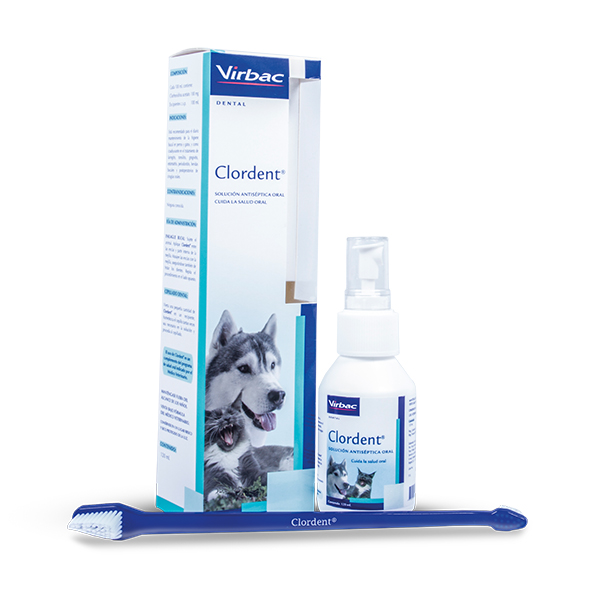 Solución Antiséptica Oral Clordent para Perros y Gatos 120 mL