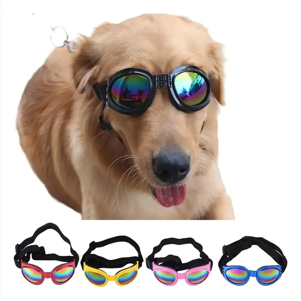 Gafas Protectoras Tornasol para Perros