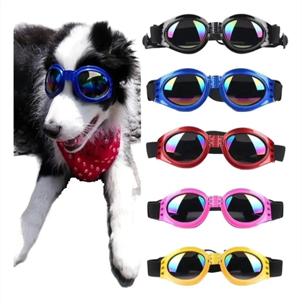 Gafas Protectoras Tornasol para Perros