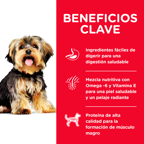 Alimento Seco para Perros Hills Science Diet Adult Small & Mini Sabor Pollo y Arroz Integral 2.04 Kg