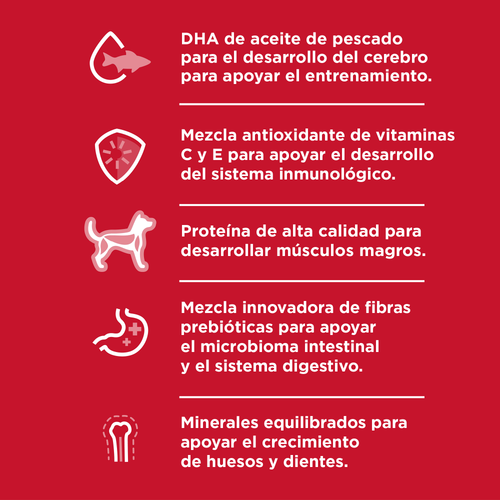Alimento Seco para Perros Hills Science Diet Puppy Razas Pequeñas y Mini Sabor Pollo y Arroz Integral 2,04 Kg