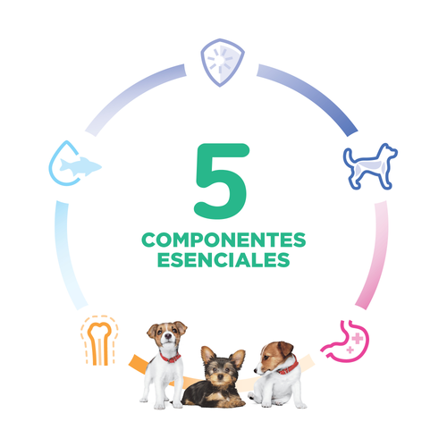 Alimento Seco para Perros Hills Science Diet Puppy Razas Pequeñas y Mini Sabor Pollo y Arroz Integral 2,04 Kg