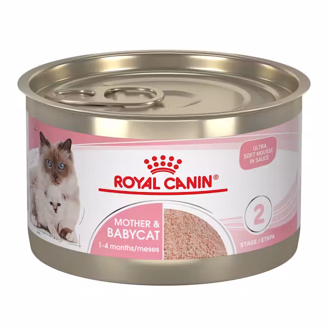 Alimento Húmedo para Gatos Royal Canin Mother & Babycat Ultra Soft Mousse 1 a 4 Meses 145 g