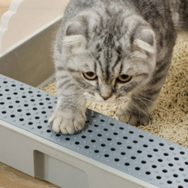 Arenera para Gatos con Borde Elevado y Rejilla