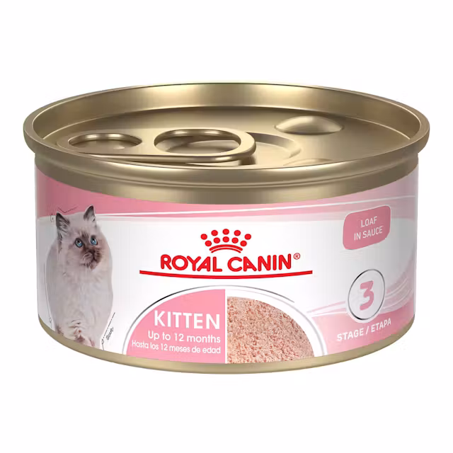 Alimento Húmedo para Gatitos Royal Canin Kitten Tiras en Salsa hasta 12 Meses 85 g